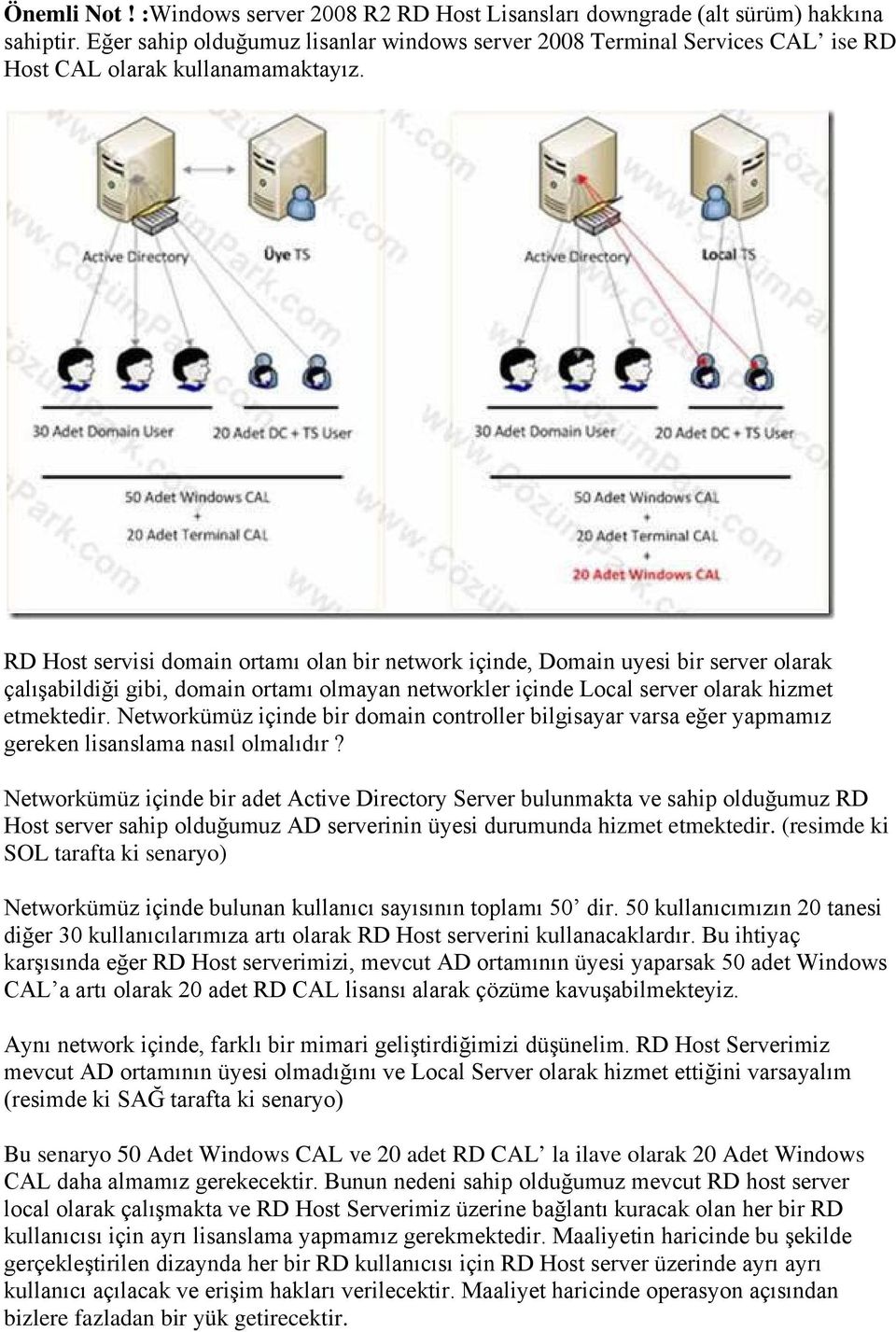 RD Host servisi domain ortamı olan bir network içinde, Domain uyesi bir server olarak çalışabildiği gibi, domain ortamı olmayan networkler içinde Local server olarak hizmet etmektedir.