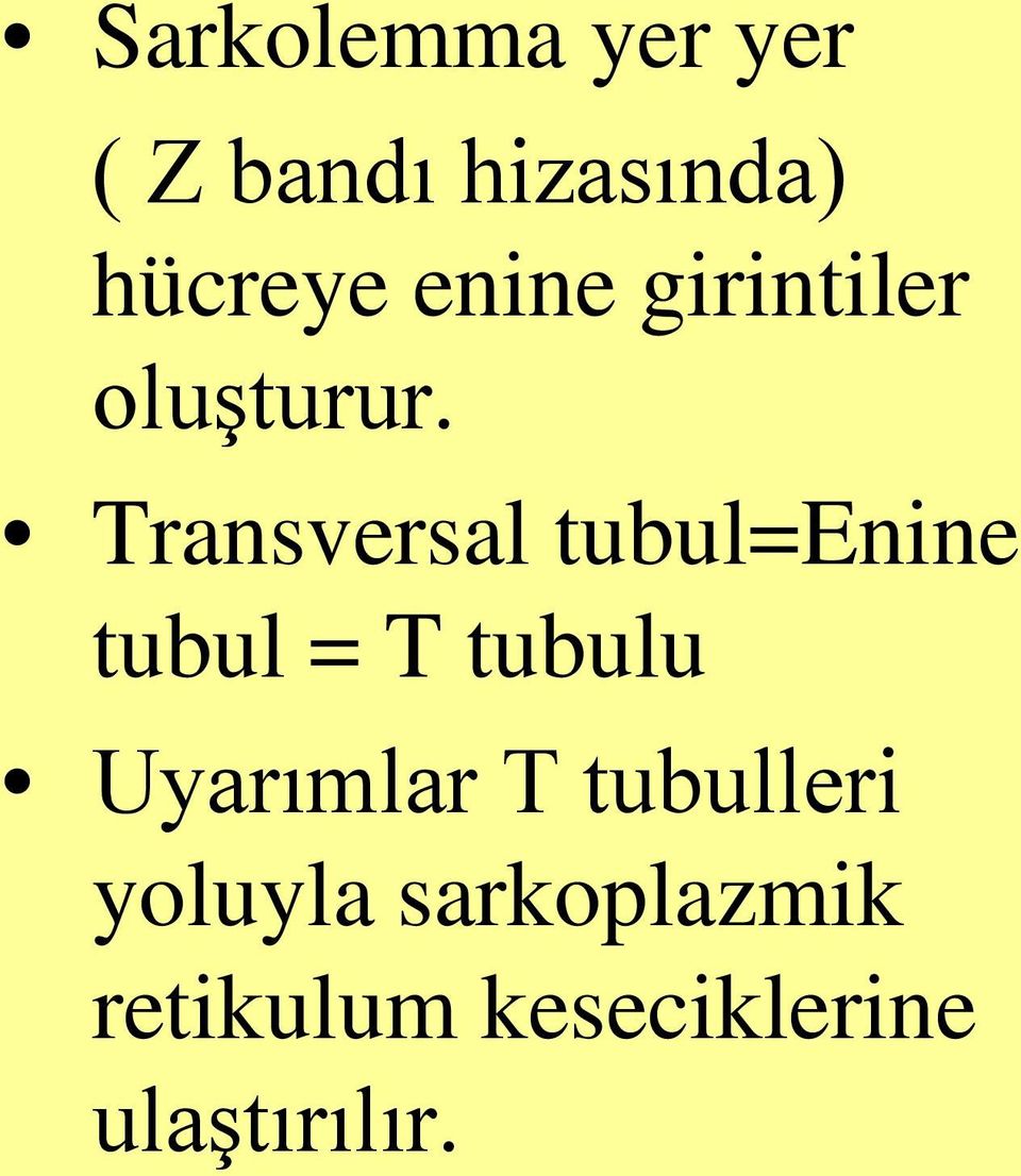 Transversal tubul=enine tubul = T tubulu