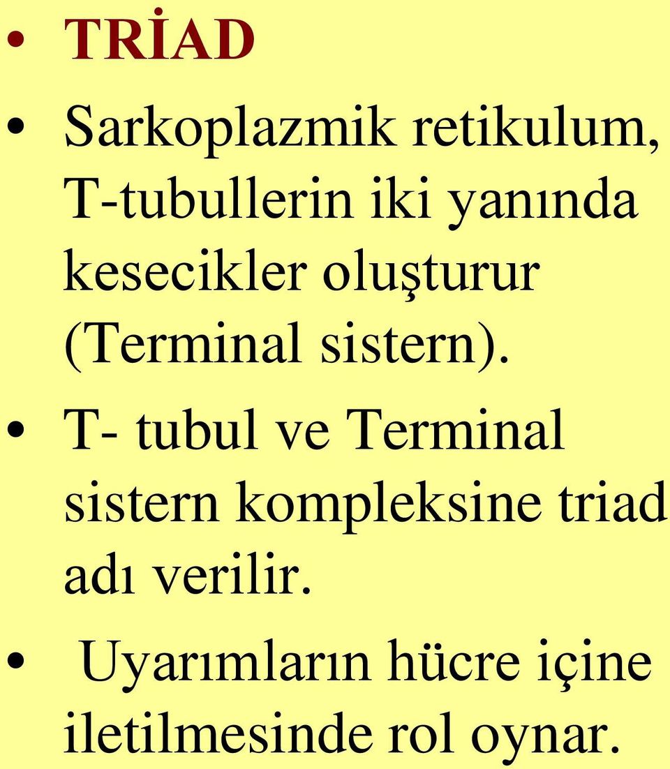 T- tubul ve Terminal sistern kompleksine triad adı