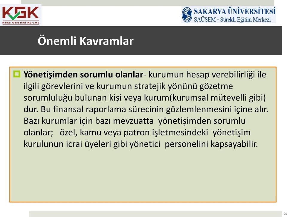 Bu finansal raporlama sürecinin gözlemlenmesini içine alır.