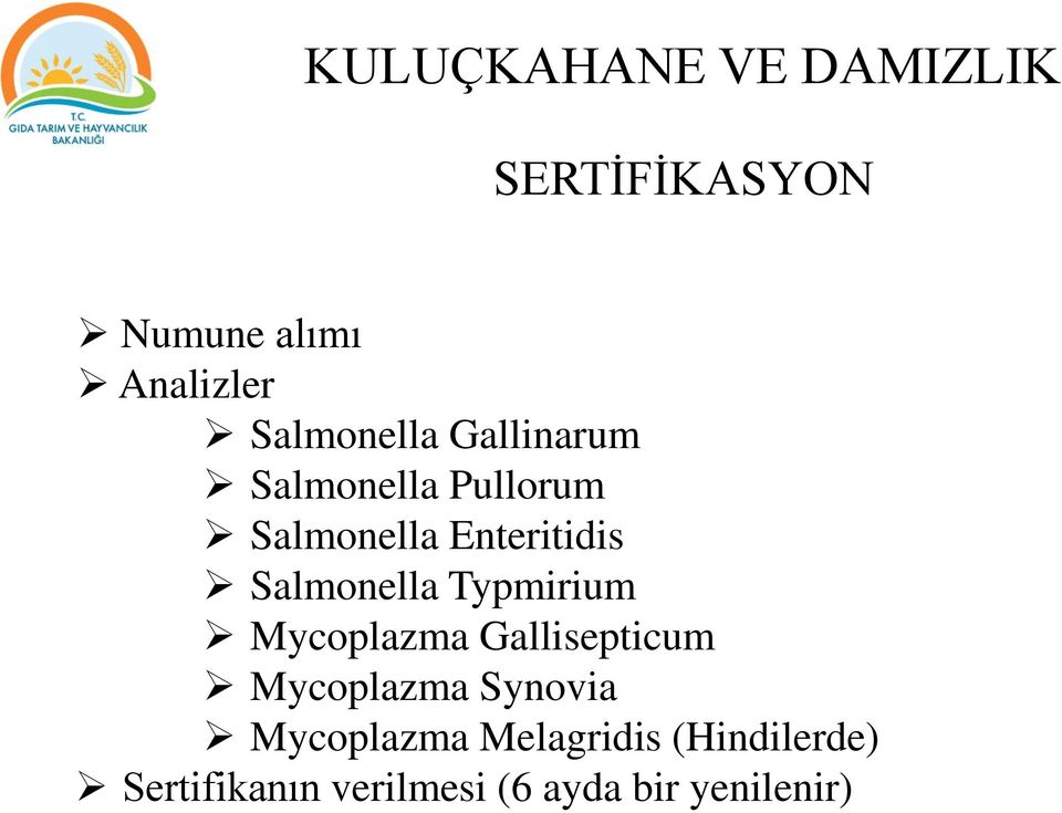 Salmonella Typmirium Mycoplazma Gallisepticum Mycoplazma Synovia