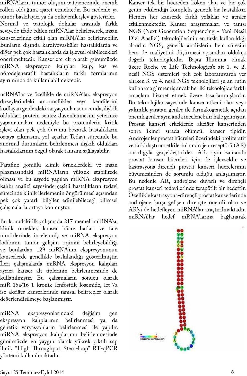 Bunların dışında kardiyovasküler hastalıklarda ve diğer pek çok hastalıklarda da işlevsel olabilecekleri önerilmektedir.