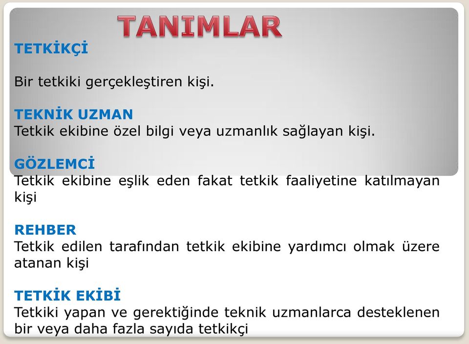 GÖZLEMCİ Tetkik ekibine eģlik eden fakat tetkik faaliyetine katılmayan kiģi REHBER Tetkik