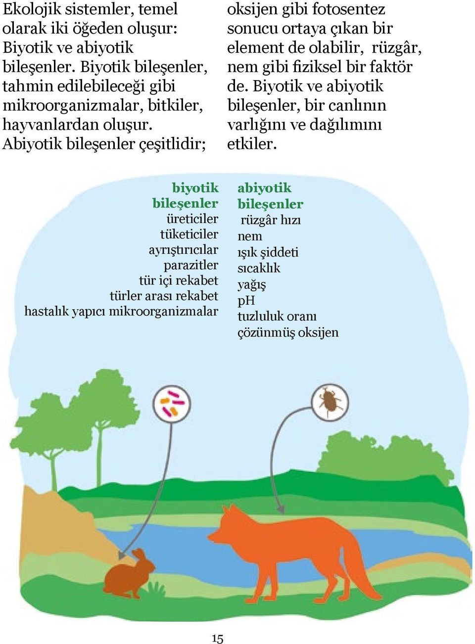 Abiyotik bileşenler çeşitlidir; oksijen gibi fotosentez sonucu ortaya çıkan bir element de olabilir, rüzgâr, nem gibi fiziksel bir faktör de.