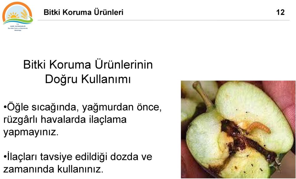 yağmurdan önce, rüzgârlı havalarda ilaçlama