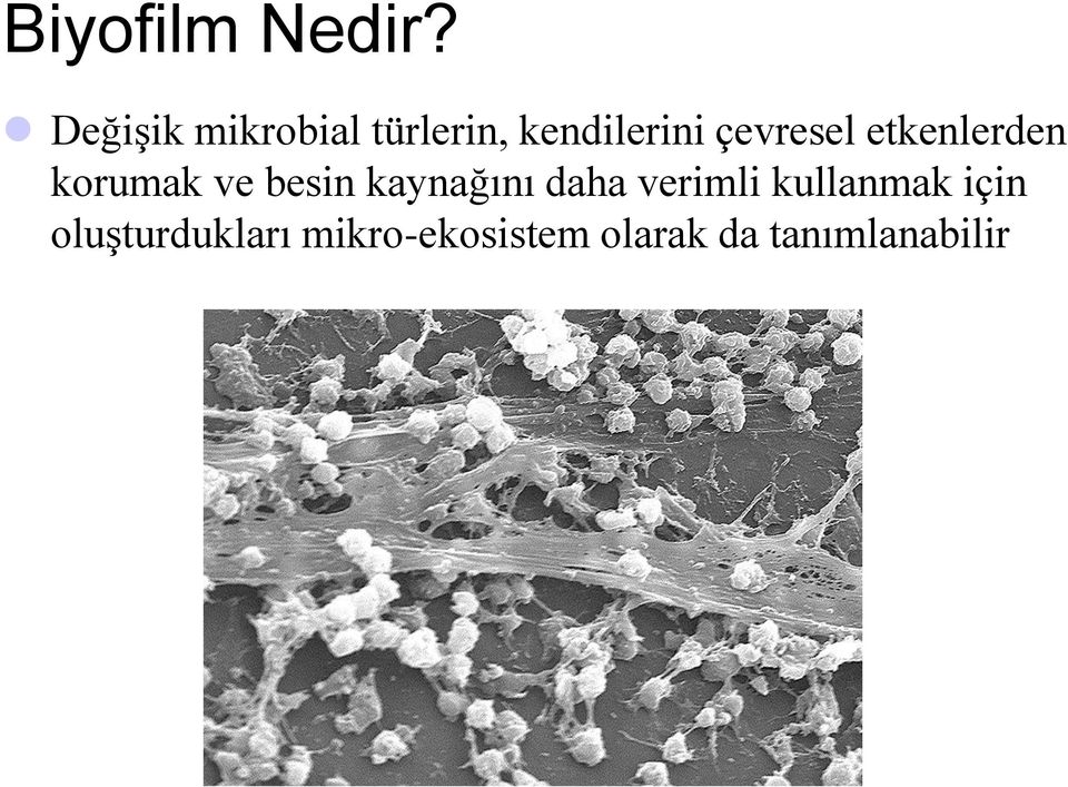 çevresel etkenlerden korumak ve besin