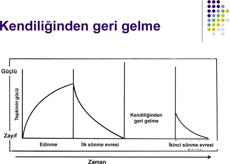 geri gelme Zayıf Edinme İlk