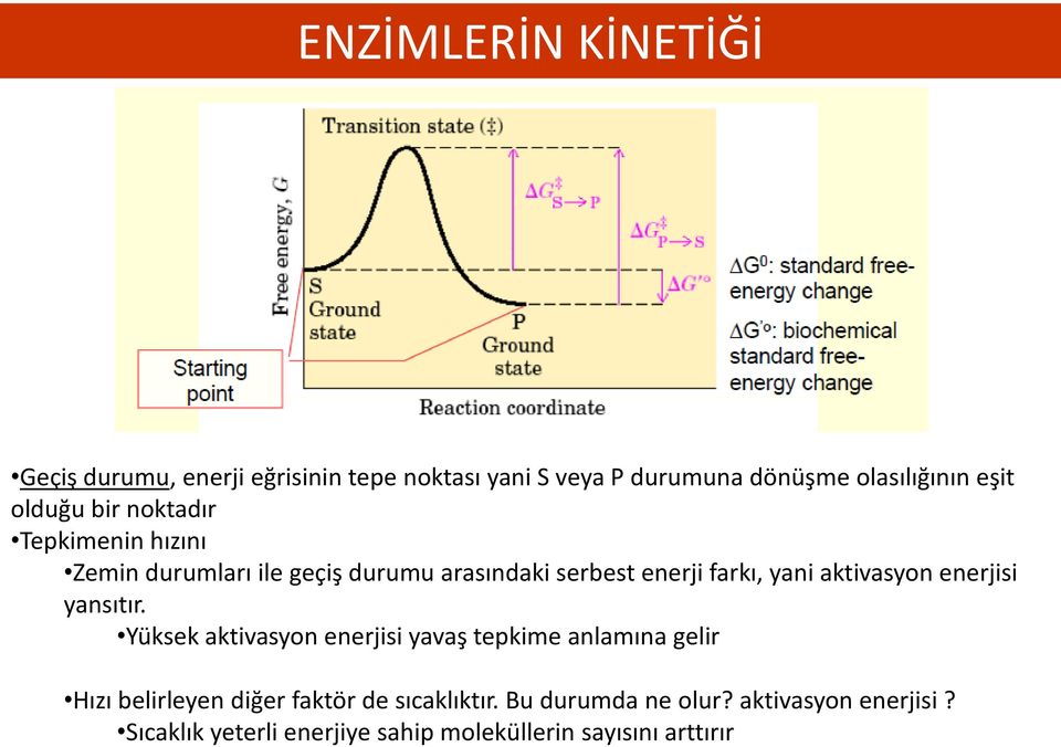 aktivasyon enerjisi yansıtır.