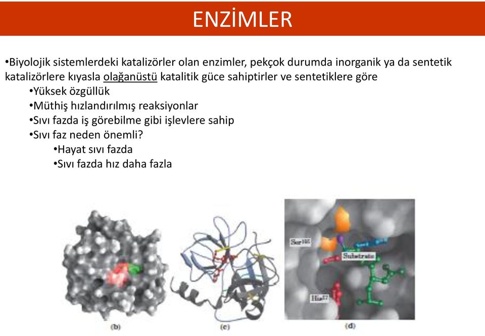 sentetiklere göre Yüksek özgüllük Müthiş hızlandırılmış reaksiyonlar Sıvı fazda iş