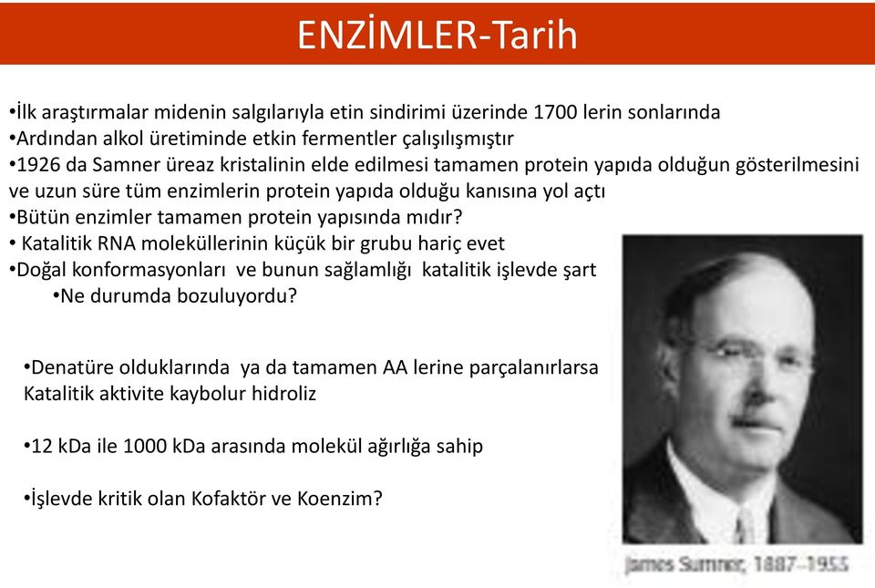 protein yapısında mıdır? Katalitik RNA moleküllerinin küçük bir grubu hariç evet Doğal konformasyonları ve bunun sağlamlığı katalitik işlevde şart Ne durumda bozuluyordu?