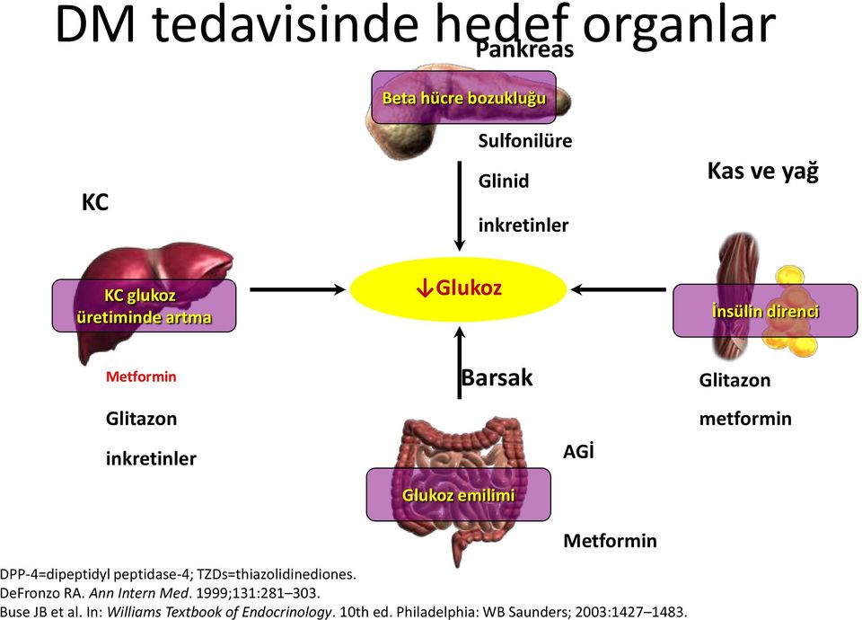 Metformin Glitazon metformin DPP-4=dipeptidyl peptidase-4; TZDs=thiazolidinediones. DeFronzo RA. Ann Intern Med.