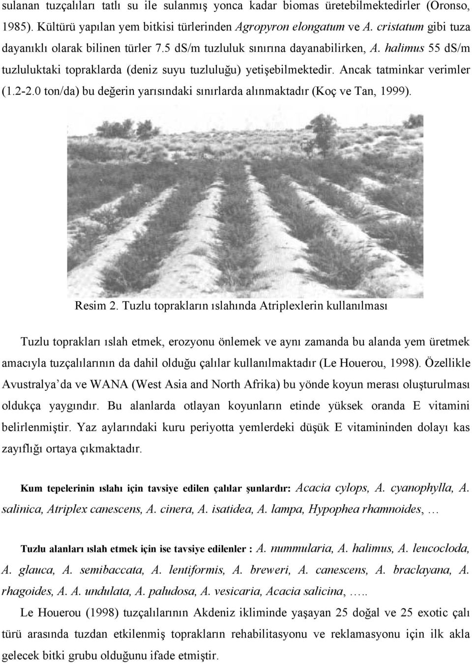 Ancak tatminkar verimler (1.2-2.0 ton/da) bu değerin yarısındaki sınırlarda alınmaktadır (Koç ve Tan, 1999). Resim 2.