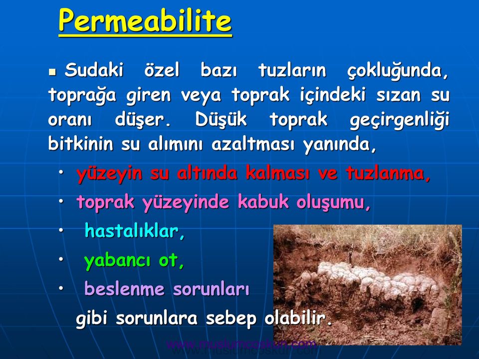 Düşük toprak geçirgenliği bitkinin su alımını azaltması yanında, yüzeyin su