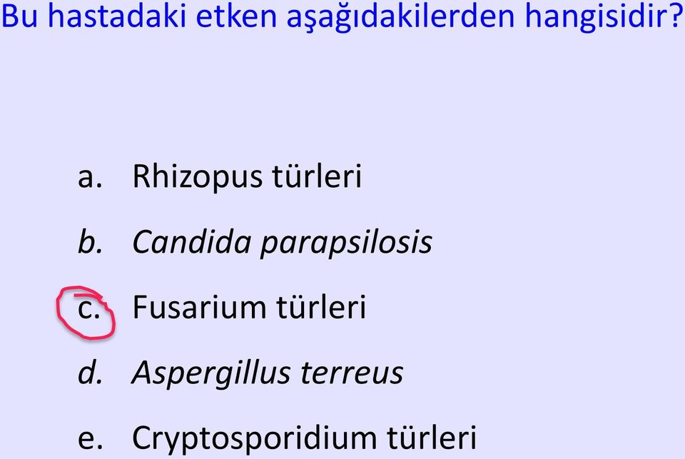 Candida parapsilosis c.