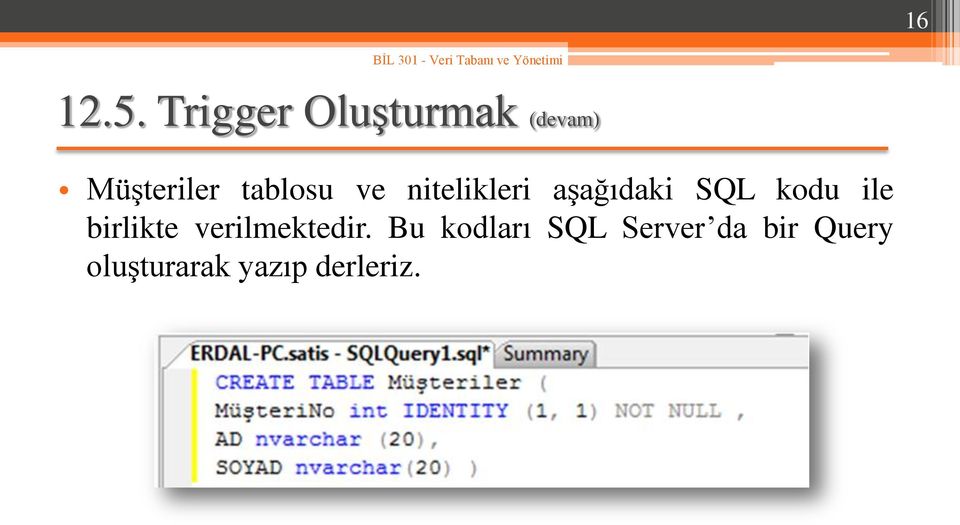 tablosu ve nitelikleri aşağıdaki SQL kodu