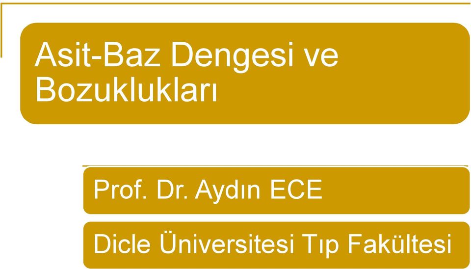 Aydın ECE Dicle