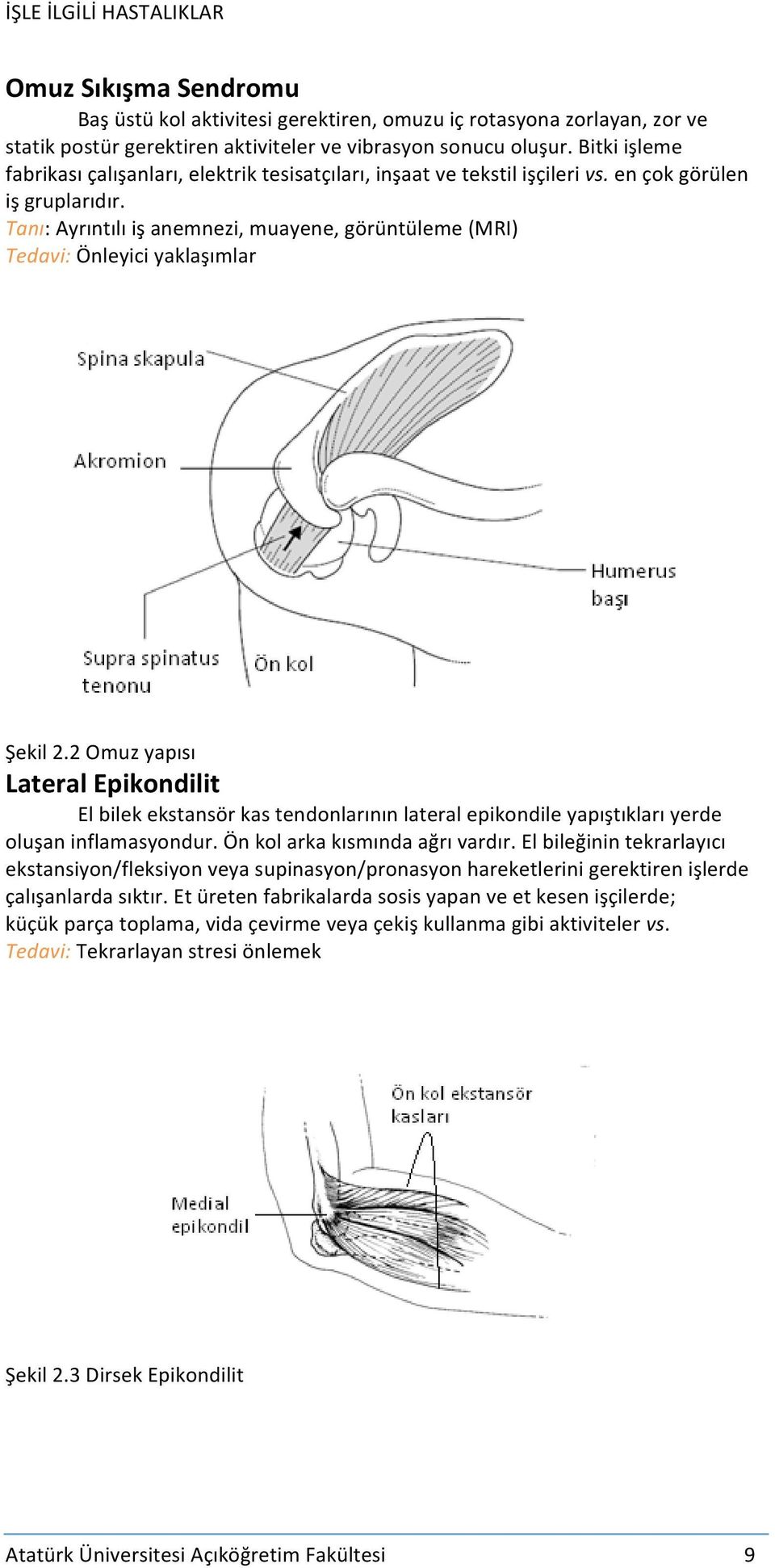 Tanı: Ayrıntılı iş anemnezi, muayene, görüntüleme (MRI) Tedavi: Önleyici yaklaşımlar Şekil 2.