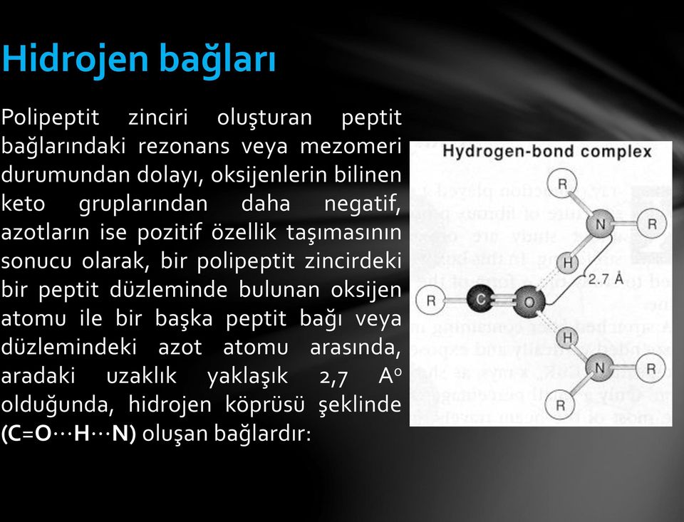 bir polipeptit zincirdeki bir peptit düzleminde bulunan oksijen atomu ile bir başka peptit bağı veya