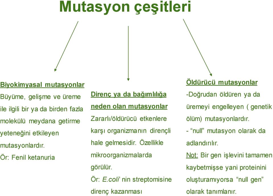 Özellikle mikroorganizmalarda görülür. Ör: E.