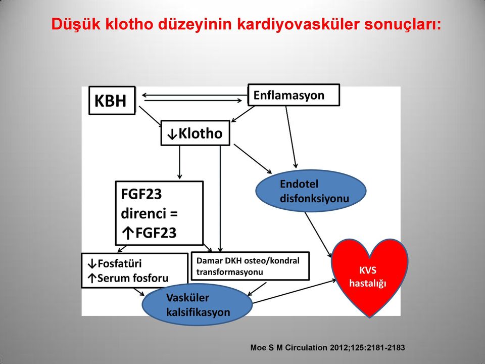 Fosfatüri Serum fosforu Damar DKH osteo/kondral transformasyonu