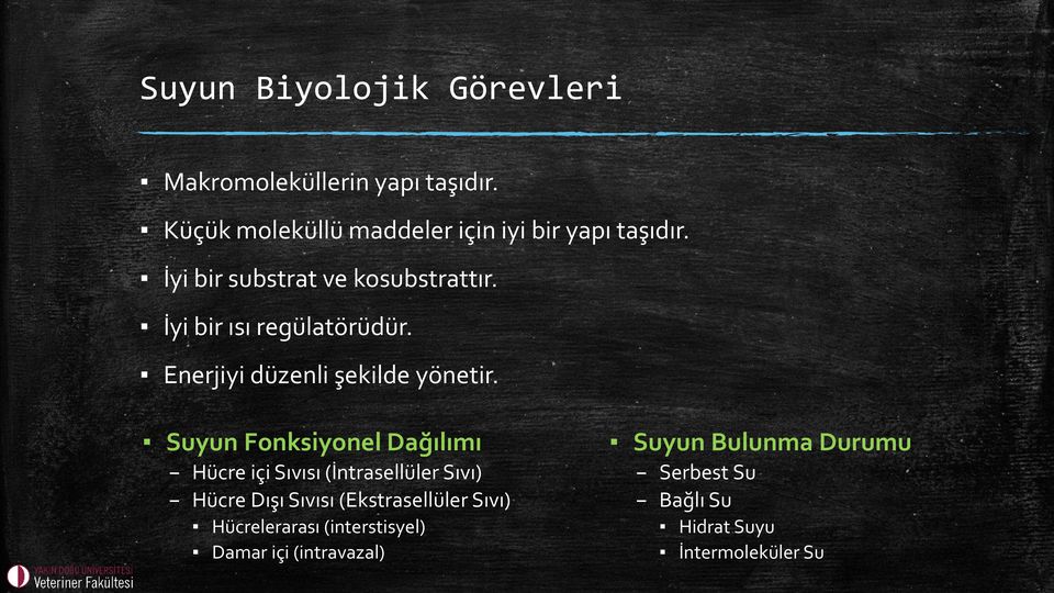 Suyun Fonksiyonel Dağılımı Hücre içi Sıvısı (İntrasellüler Sıvı) Hücre Dışı Sıvısı (Ekstrasellüler Sıvı)