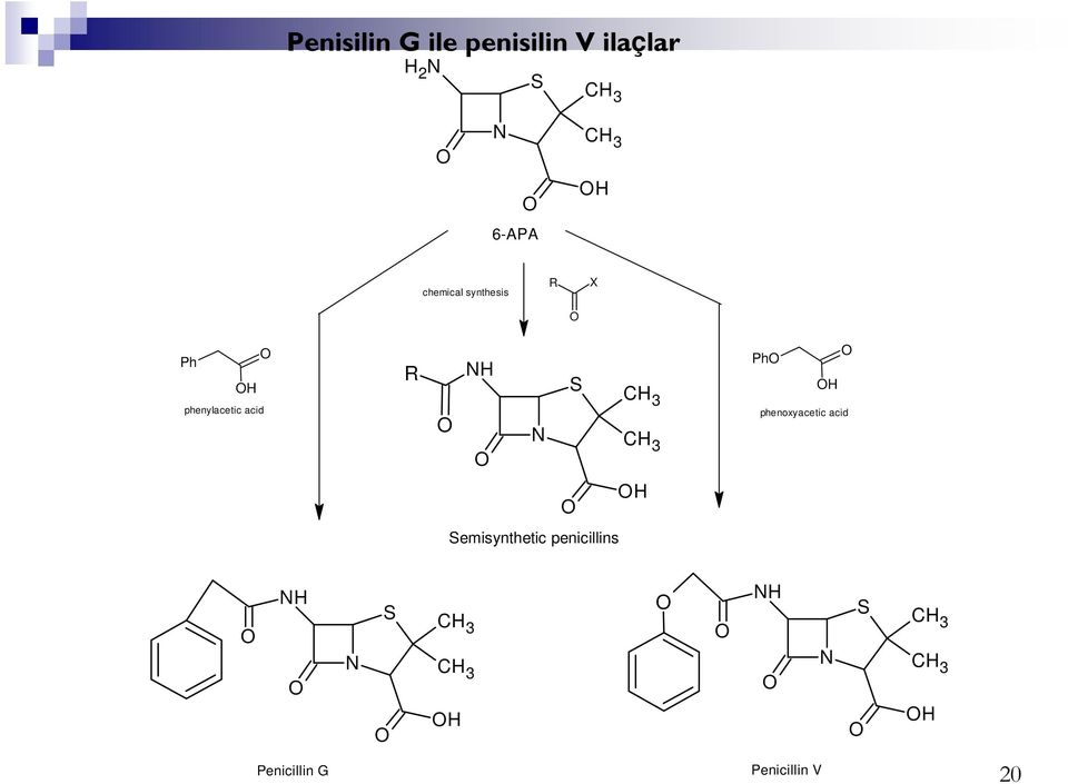 acid R NH S N Ph H phenoxyacetic acid H Semisynthetic