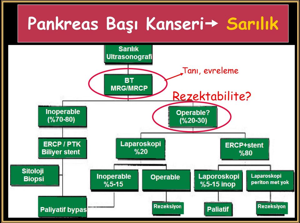 Sarılık Tanı,