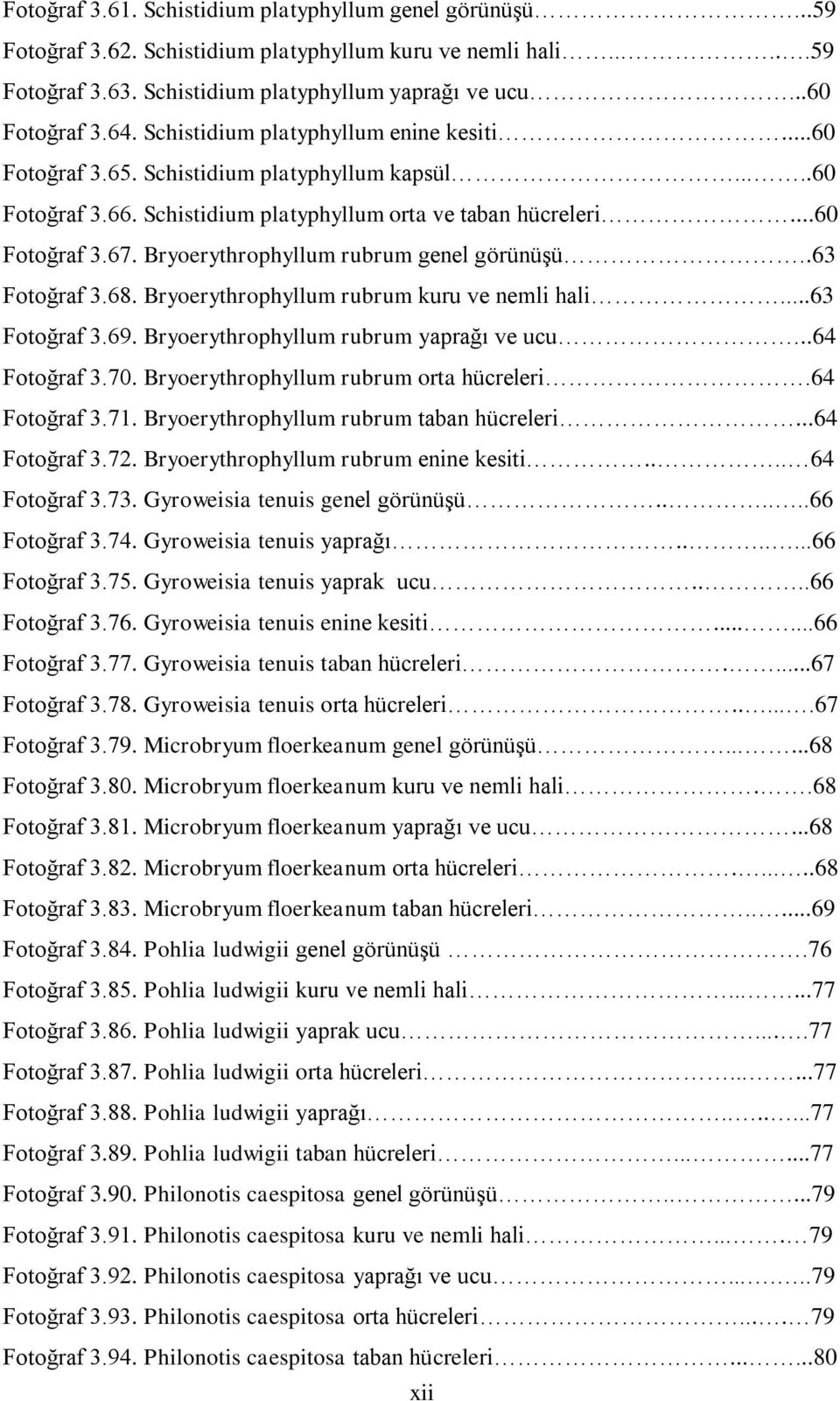 Bryoerythrophyllum rubrum genel görünüşü..63 Fotoğraf 3.68. Bryoerythrophyllum rubrum kuru ve nemli hali...63 Fotoğraf 3.69. Bryoerythrophyllum rubrum yaprağı ve ucu...64 Fotoğraf 3.70.