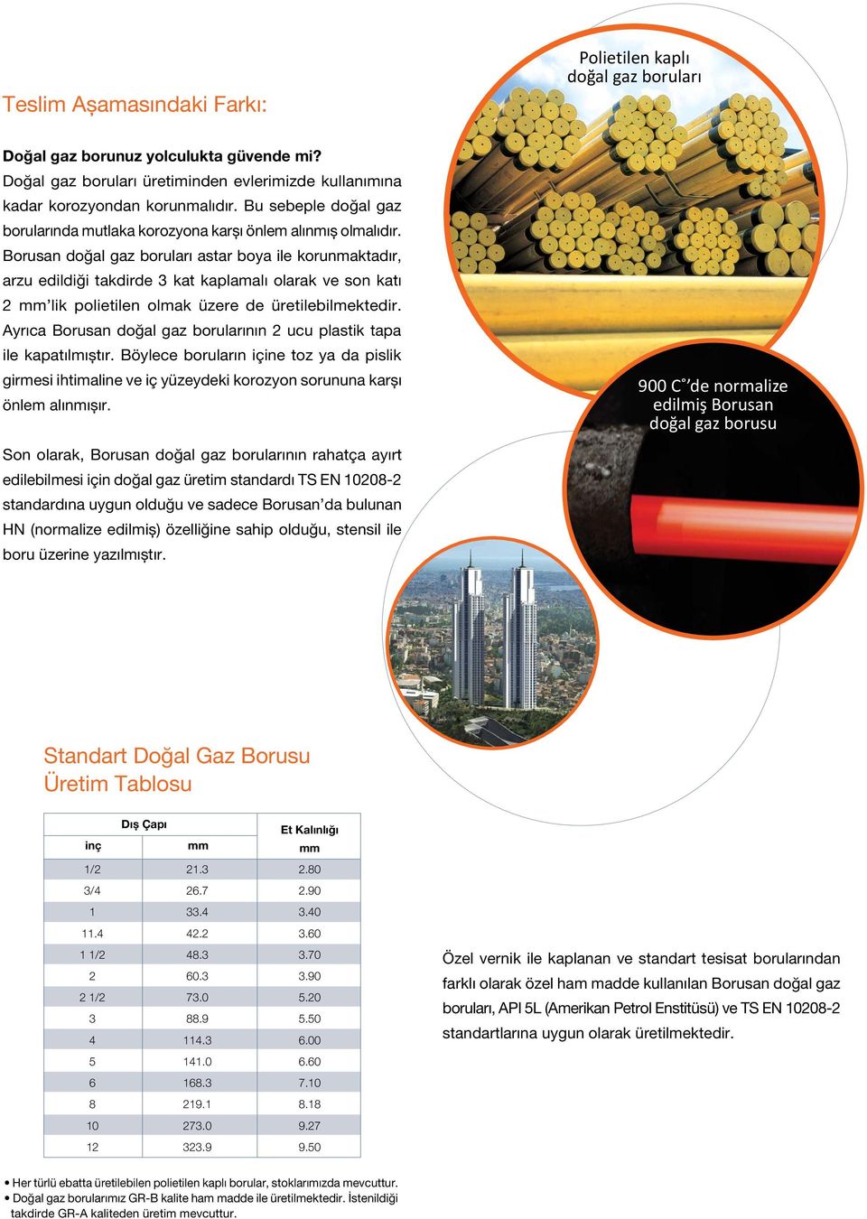 Borusan doğal gaz boruları astar boya ile korunmaktadır, arzu edildiği takdirde 3 kat kaplamalı olarak ve son katı 2 mm lik polietilen olmak üzere de üretilebilmektedir.