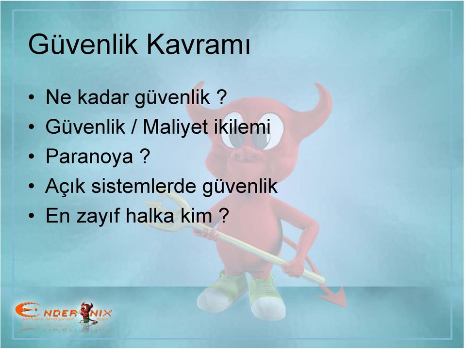 Güvenlik / Maliyet ikilemi