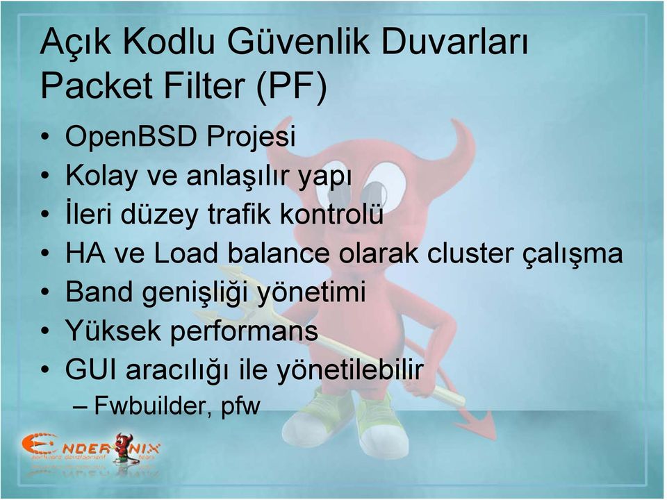 HA ve Load balance olarak cluster çalışma Band genişliği