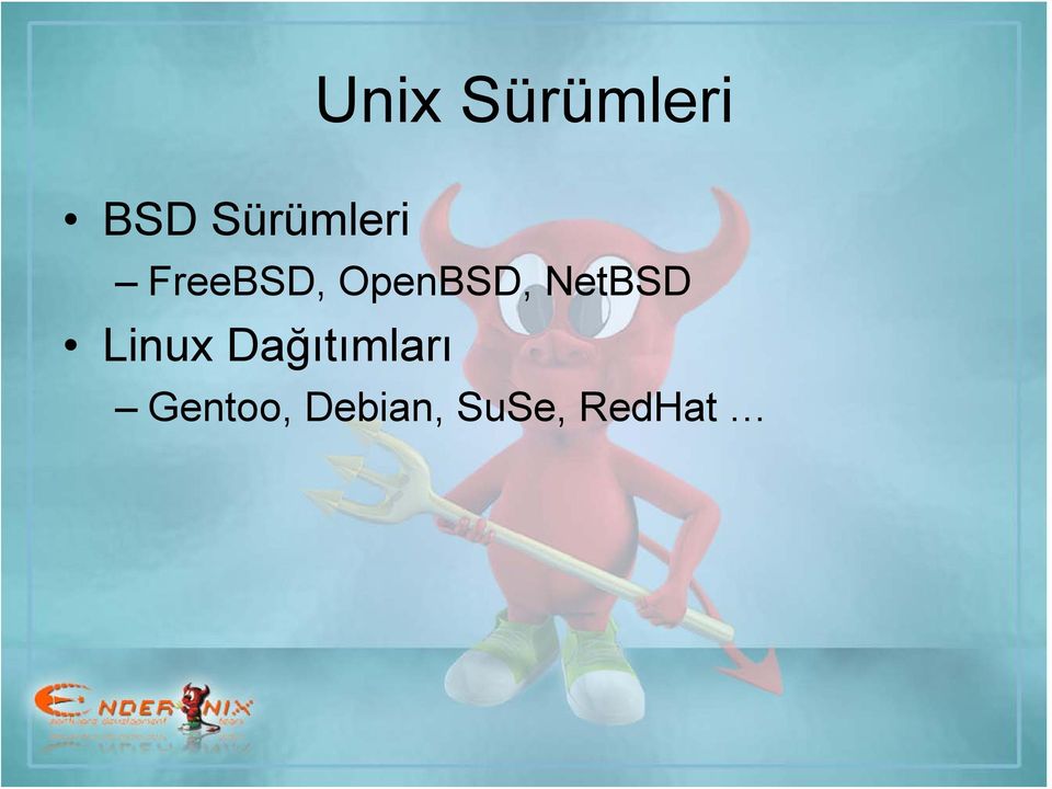 OpenBSD, NetBSD Linux
