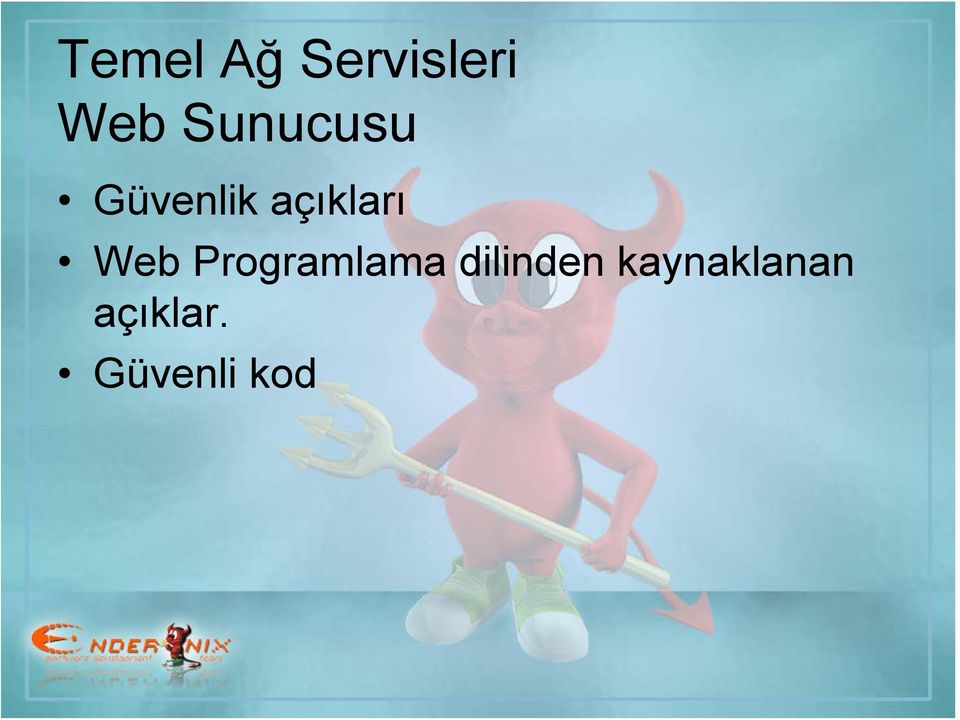 Web Programlama dilinden