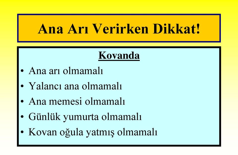 ana olmamalı Ana memesi olmamalı