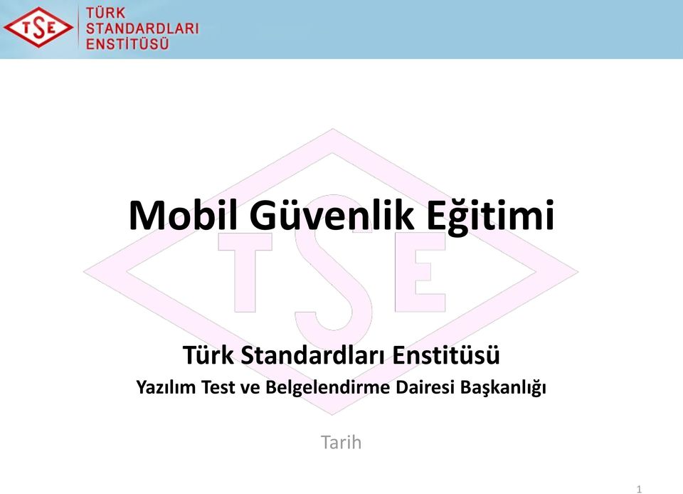 Enstitüsü Yazılım Test ve