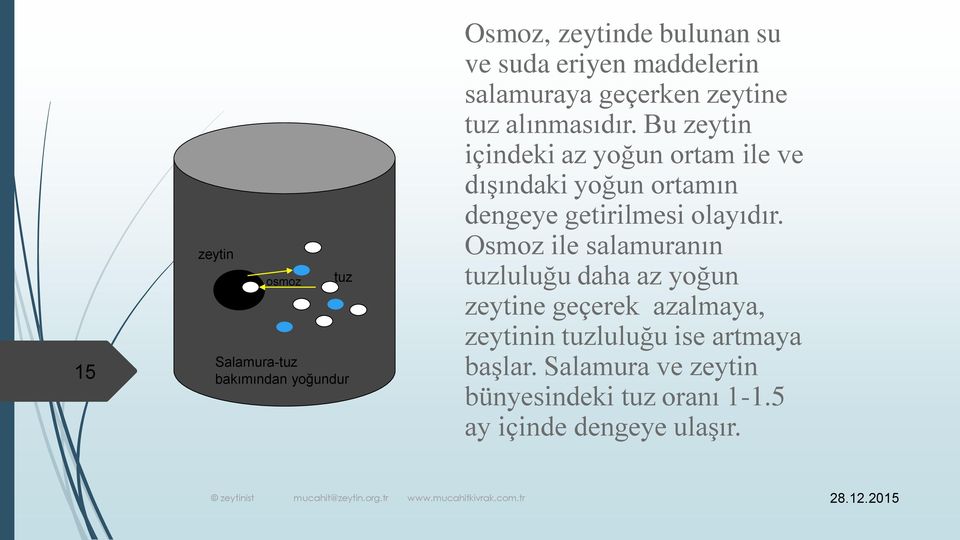 Bu zeytin içindeki az yoğun ortam ile ve dışındaki yoğun ortamın dengeye getirilmesi olayıdır.