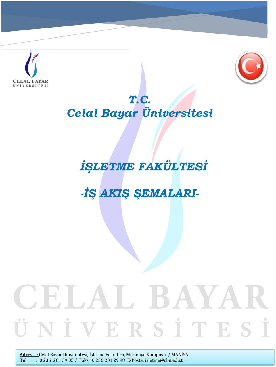 Üniversitesi,, Muradiye Kampüsü / MANİSA : 0 236