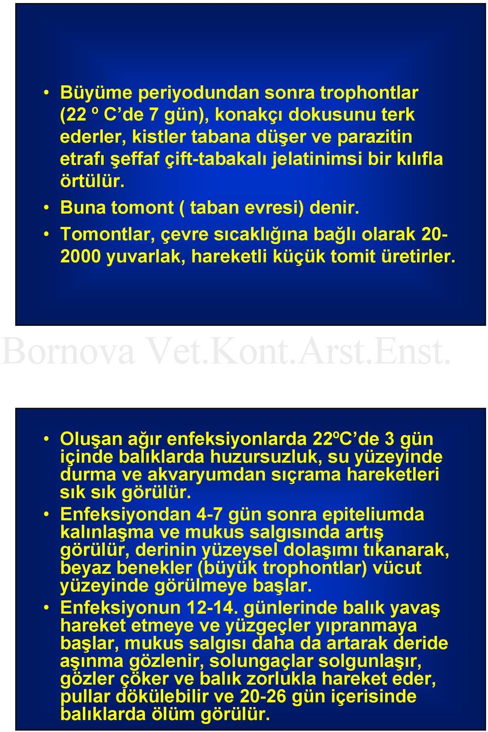 Oluşan ağır enfeksiyonlarda 22ºC de 3 gün içinde balıklarda huzursuzluk, su yüzeyinde durma ve akvaryumdan sıçrama hareketleri sık sık görülür.