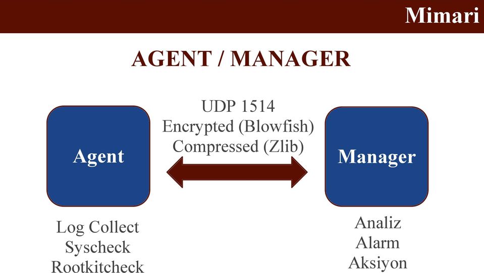 Compressed (Zlib) Manager Log