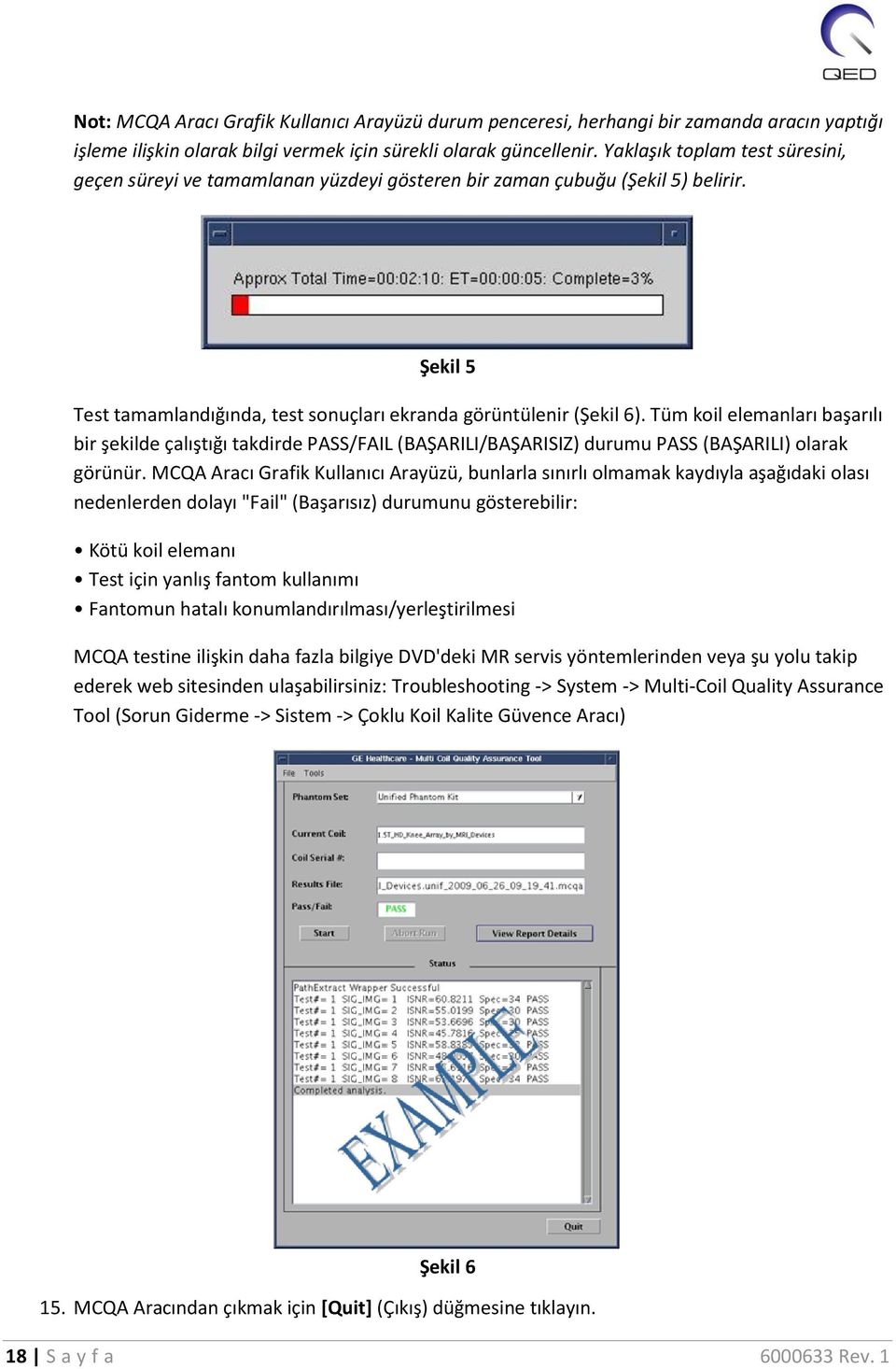 Tüm koil elemanları başarılı bir şekilde çalıştığı takdirde PASS/FAIL (BAŞARILI/BAŞARISIZ) durumu PASS (BAŞARILI) olarak görünür.