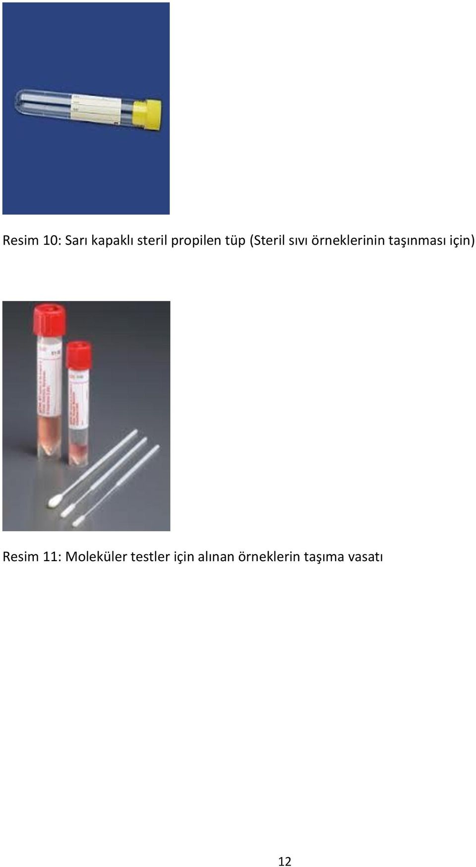 örneklerinin taşınması için) Resim