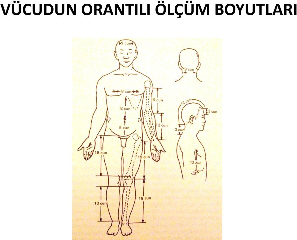 ÖLÇÜM