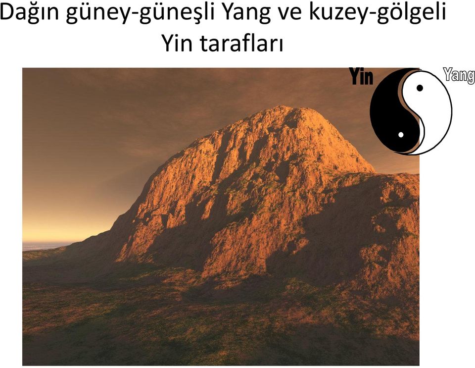 Yang ve