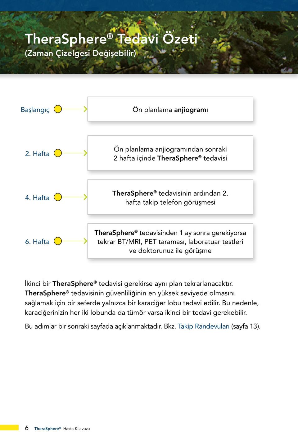 Hafta TheraSphere tedavisinden 1 ay sonra gerekiyorsa tekrar BT/MRI, PET taraması, laboratuar testleri ve doktorunuz ile görüşme İkinci bir TheraSphere tedavisi gerekirse aynı plan