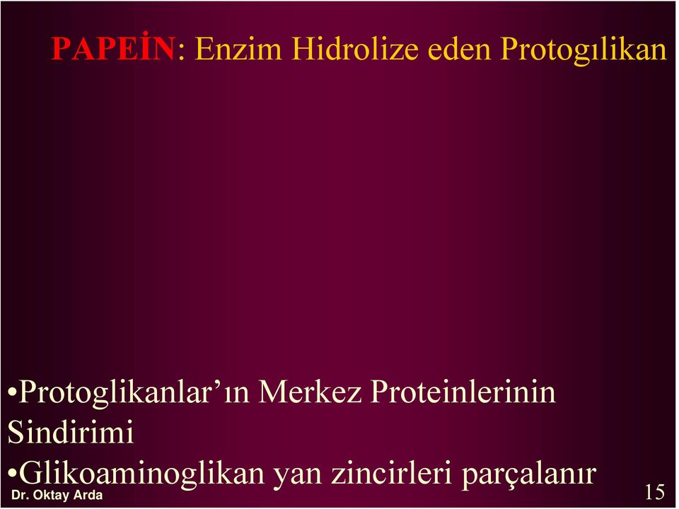 Merkez Proteinlerinin Sindirimi