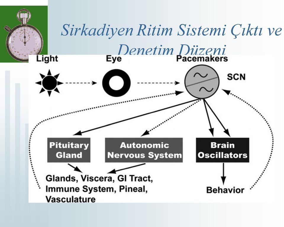 Sistemi