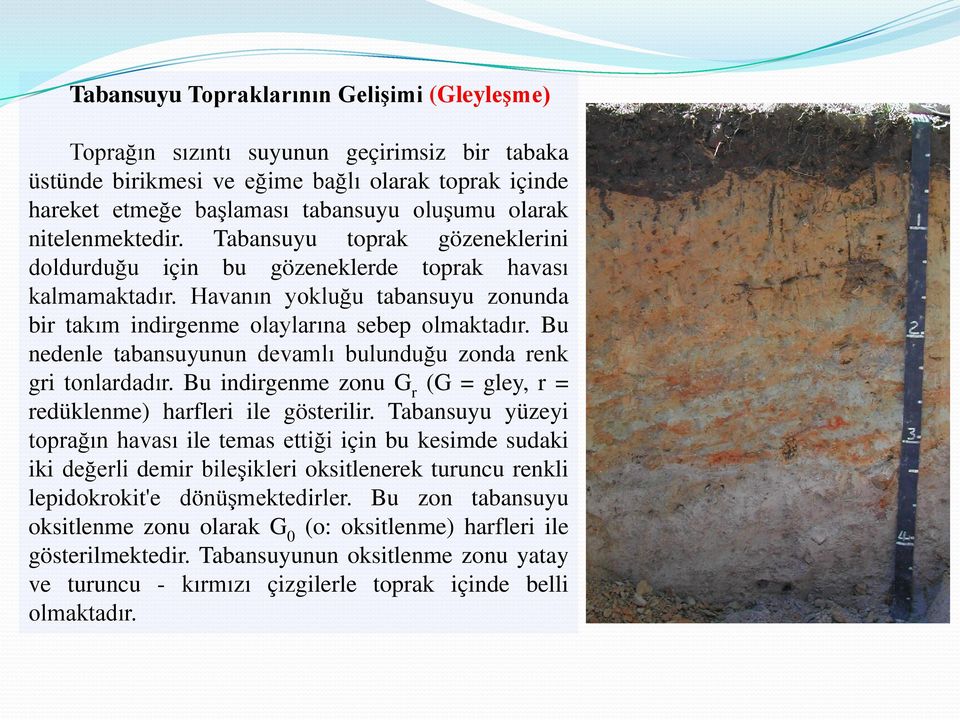 Bu nedenle tabansuyunun devamlı bulunduğu zonda renk gri tonlardadır. Bu indirgenme zonu G r (G = gley, r = redüklenme) harfleri ile gösterilir.