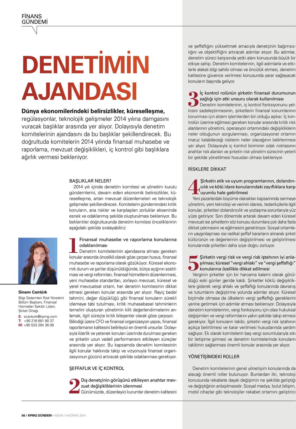 Bu doğrultuda komitelerin 2014 yılında finansal muhasebe ve raporlama, mevzuat değişiklikleri, iç kontrol gibi başlıklara ağırlık vermesi bekleniyor.