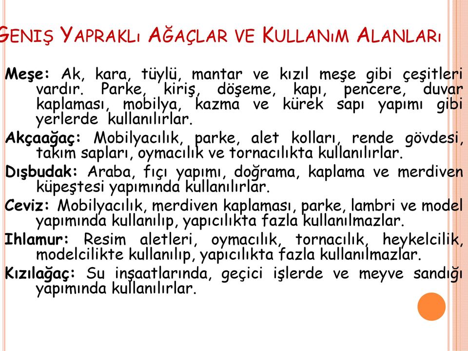 Akçaağaç: Mobilyacılık, parke, alet kolları, rende gövdesi, takım sapları, oymacılık ve tornacılıkta kullanılırlar.