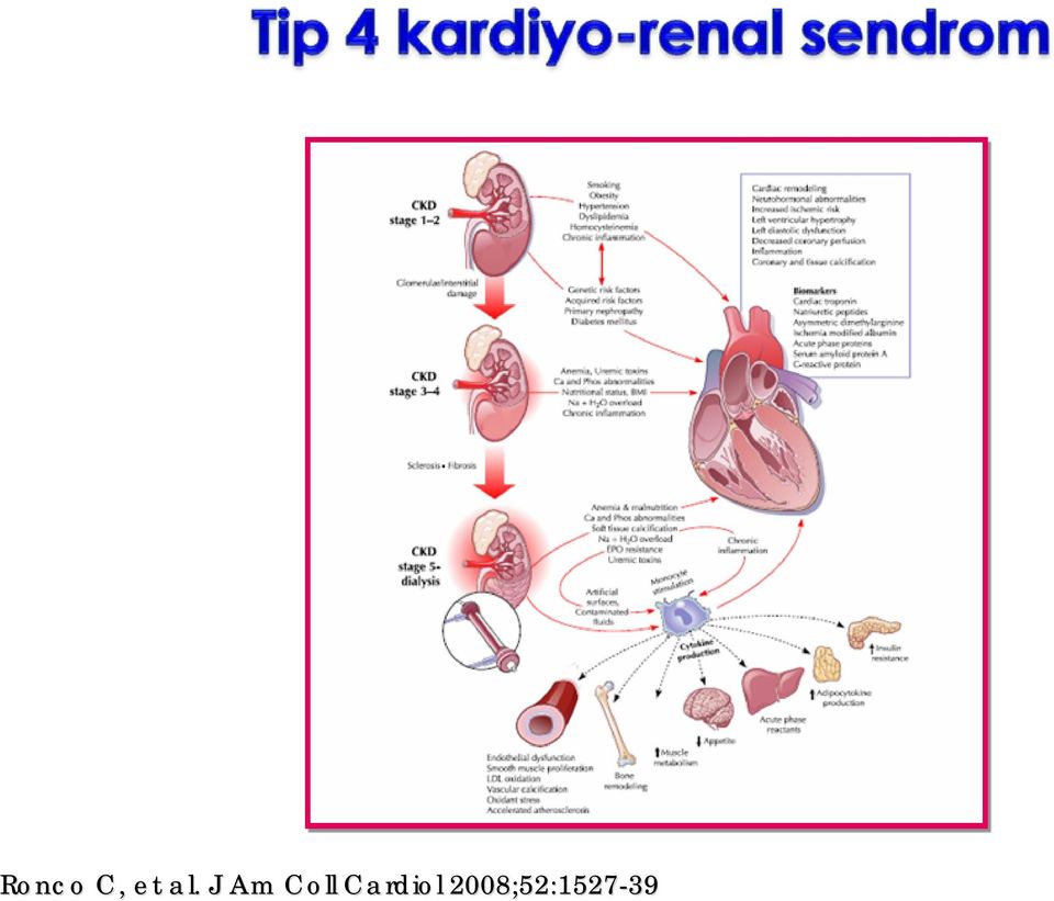 Coll Cardiol